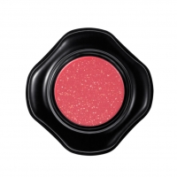 Shiseido Veiled rouge Rosalie RD302 euro 27,50