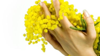 Festa della donna, Mimosa tra le mani