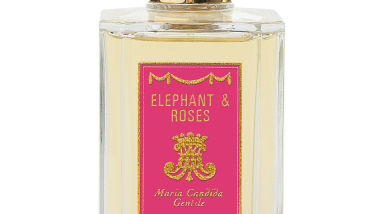 Maria-Candida-Gentile-Elephant-roses-edp-100-ml.jpg